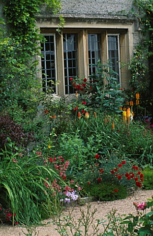 A_SOUTH_FACING_BED_IN_FRONT_OF_THE_HOUSE_WITH_VARIOUS_KNIPHOFIA__DIASCIA__PITTOSPORUM_TOM_THUMB_AND_