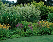 BORDER NEXT TO THE LAWN WITH NATURALISED CANDELABRA PRIMULAS  MATTEUCCIA STRUTHIOPTERIS AND TALL IRIS PSEUDACORUS BASTARDII. MERRIMENTS GARDENS  EAST SUSSEX.