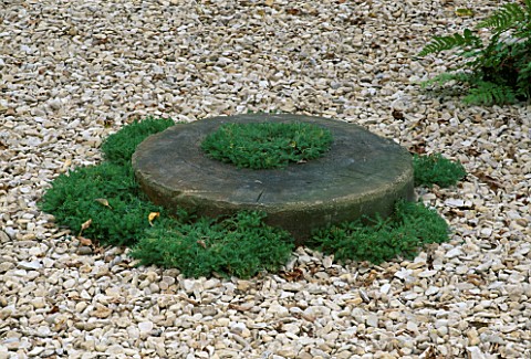 SHARPENING_STONE_WITH_CHAMAEMELUM_NOBILE_CAMOMILE_SURROUNDED_BY_GRAVEL_IN_CLARE_MATTHEWS_GARDEN__REA