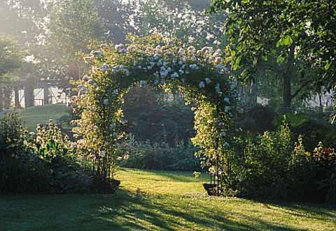 EARLY_MORNING_SUN_SHINES_ON_A_PERGOLA_COVERED_WITH_RAMBLING_ROSA_GOLDFINCH_NYEWOOD_HOUSE__WEST_SUSSE