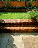 BRICK STEPS LEADING TO THE LAWN WITH RAISED BED OF BOX BALLS IN FRONT OF ITALIAN POLISHED PLASTER WALL. TO THE RIGHT IS A TERRACOTTA CONTAINER OF CAREX. MODERNISTS TOWN GARDEN