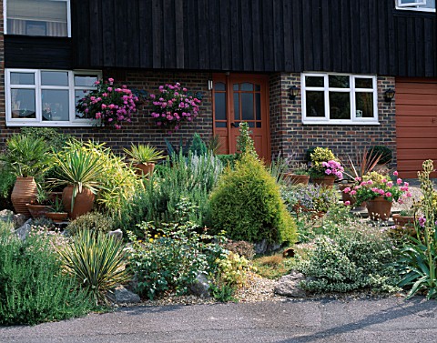 FRONT_GARDEN_WITH_GRAVEL_BED_FOR_SUN_LOVING_HERBS__PLANTS_INCLUDING_ROSEMARY__YUCCAS_AND_PHORMIUMS_R