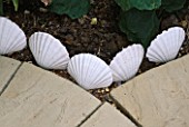 DETAIL OF DECORATIVE SHELL EDGING NEXT TO PAVING SLABS. ROBIN GREEN AND RALPH CADES SEASIDE STYLE GARDEN  LONDON