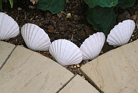 DETAIL_OF_DECORATIVE_SHELL_EDGING_NEXT_TO_PAVING_SLABS_ROBIN_GREEN_AND_RALPH_CADES_SEASIDE_STYLE_GAR
