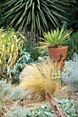 PHORMIUM COOKIANUM IN A TERRACOTTA CONTAINER AND IRON STAND CREATES FOCUS AMONGST THE GRASSES IN THE GRAVEL GARDEN. RALPH GREEN & ROBIN CADES SEASIDE STYLE GARDEN  LONDON.