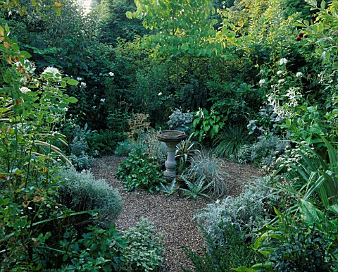 BIRDBATH_AND_GRAVEL_CIRCLE_AT_THE_CENTRE_OF_THE_SECLUDED_SILVER_AND_WHITE_GARDEN_WITH_ERYNGIUM_GIGAN