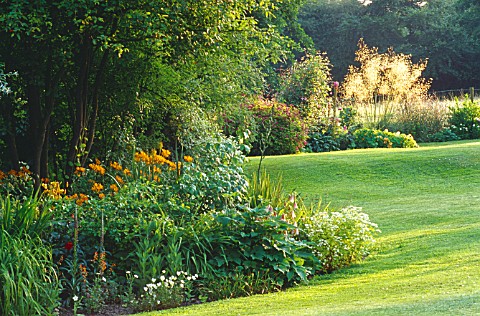 VIEW_FROM_MIXED_HERBACEOUS_BORDER__OVER_THE_LAWN__TOWARDS_STIPA_GIGANTEA_WEST_SILCHESTER_HALL__BERKS