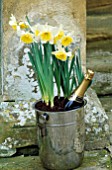 CHAMPAGNE BUCKET WITH BOTTLE AND NARCISSUS  ICE FOLLIES. DESIGNED BY IVAN HICKS. GROOMBRIDGE PLACE  KENT.