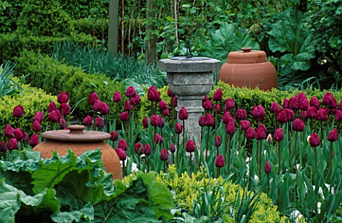 SUNDIAL__TERACOTTA_RHUBARB_FORCING_POTS_AND_TULIP_PINK_IMPRESSION_LORD_LEYCESTER_HOSPITAL_GARDEN__WA