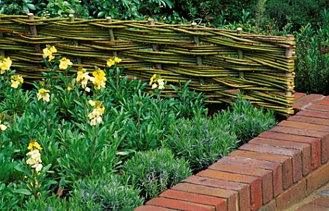 BRICK_WALL_AND_LOW_WICKER_FENCE_SURROUND_BORDER_OF_WALLFLOWERS_LORD_LEYCESTER_HOSPITAL_GARDEN__WARWI