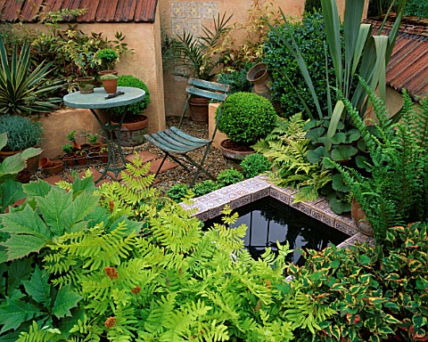 TERRACOTTA_COURTYARD_GARDEN_WITH_SMALL_POND__TABLE_AND_CHAIR__GUNNERA__ASTILBE__PHORMIUM_AND_MATTEUC