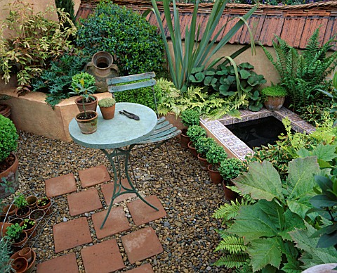 TERRACOTTA_COURTYARD_GARDEN_WITH_SMALL_POND__TABLE_AND_CHAIR__GUNNERA__MATTEUCIA_STRUTHIOPTERIS_AND_