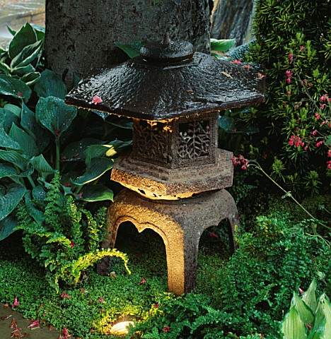JAPANESE_STONE_LANTERN_LIT_UP_AND_SURROUNDED_BY_HOSTAS_AND_FERNS_IN_THE_ZEN_INSPIRED_GARDEN_DESIGNED