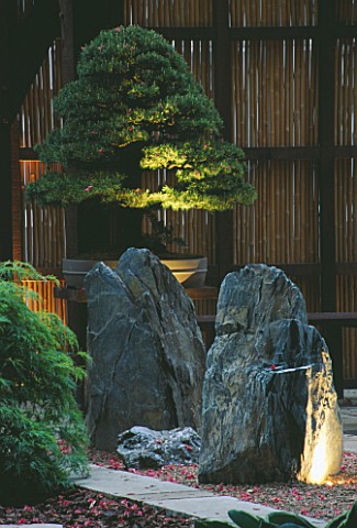 NATURAL_ROCKS_LIT_FROM_BELOW_WITH_PINUS_BONSAI__BAMBOO_FENCE_THE_ZEN_INSPIRED_GARDEN_DESIGNED_BY_SPI