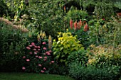 LAUNA SLATTERS GARDEN  OXON: PINK AND YELLOW BORDER WITH LUPINS  HOP AND TANECETUM COCCINEUM BRENDA AND IVY
