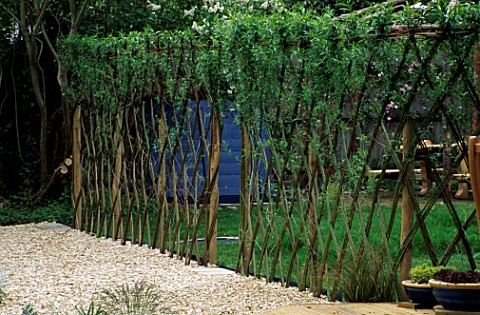 LIVING_WILLOW_TRELLIS_SCREEN_MADE_BY_CLARE_MATTHEWS