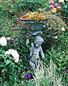 CAROLYN HUBBLES SHROPSHIRE GARDEN : BRONZE STATUE WITH ENGLISH ROSE REDOUTE  ROSA MAGENTA AND ROSA CHARLOTTE