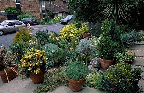 FOLIAGE_PLANTS_DOMINATE_THE_GRAVEL_FRONT_GARDEN_OF_ROBIN_GREEN__RALPH_CADES_HOUSE__LONDON