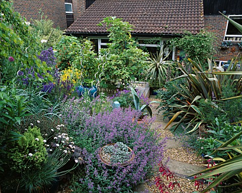 SLOPING_BACK_GARDEN_WITH_GRAVEL_AND_RAILWAY_SLEEPER_PATH__NEPETA_SIX_HILLS_GIANT__AGAVE_AMERICANA__A