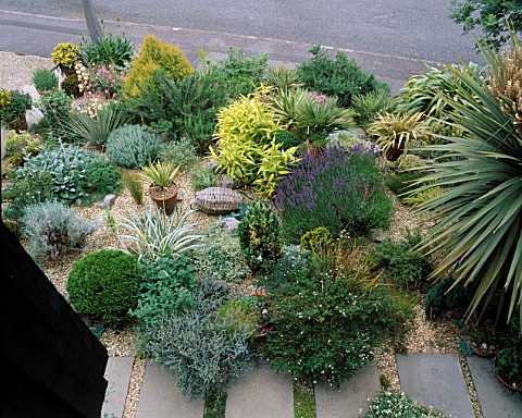 GRAVEL_FRONT_GARDEN_SEEN_FROM_THE_TOP_OF_THE_HOUSE_WITH_SUN_LOVING_FOLIAGE_PLANTS_ROBIN_GREEN__RALPH