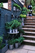 GALVANISED METAL CONTAINERS PLANTED WITH A VARIETY OF CULINARY HERBS BESIDE AN AQUA WALL AND BRICK STEPS. ROBIN GREEN & RALPH CADES GARDEN  LONDON