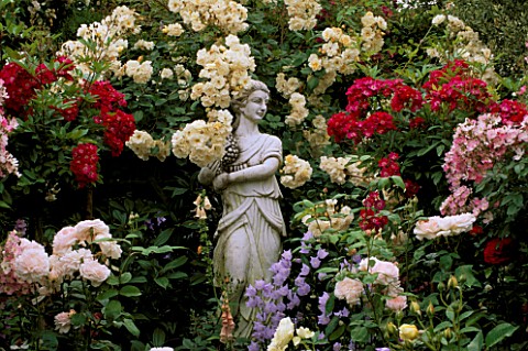 CAROLYN_HUBBLES_GARDEN__SHROPSHIRE_THE_VALENTINE_GARDEN_WITH_ITALIAN_MARBLE_STATUE_AND_ROSES