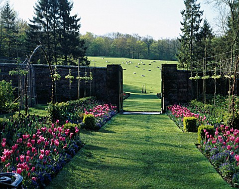 VIEW_FROM_THE_WALLED_GARDEN_OUT_TO_THE_PARK_GRASS_PATHWAY_BETWEEN_BEDS_WITH_TULIPS_CHINA_PINK_AND_QU