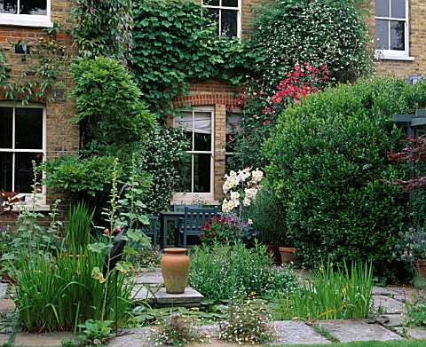 TERRACE_WITH_POOL__HOLLYHOCKS__MAPLE_AND_ROSA_CHINENSIS_MUTABILIS_BEHIND_DESIGNER_SHEILA_STEDMAN