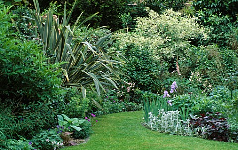 VIEW_DOWN_GARDEN_WITH_LAWN_AND_BORDERS_WITH_IRISES_AND_PHORMIUM_DESIGNER_SHEILA_STEDMAN