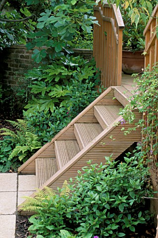 WOODEN_STEPS_LEAD_FROM_PAVED_AREA_ONTO_DECKED_TERRACE_IN_A_GARDEN_DESIGNED_BY_SARAH_LAYTON
