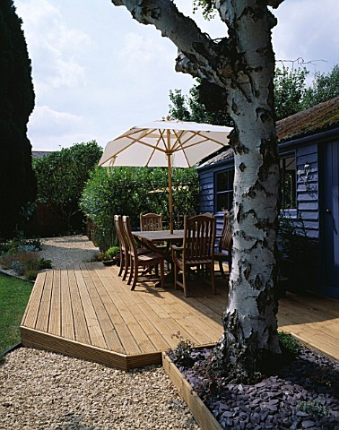BLUE_SUMMERHOUSE_WITH_DECKING__TABLE__CHAIRS_AND_PARASOL__BIRCH_TREE_TRUNKS__PURPLE_SLATE_MULCH_AND_