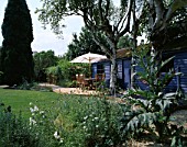 BLUE SUMMERHOUSE WITH DECKING  TABLE  CHAIRS AND PARASOL  BIRCH TREE TRUNKS  HAMMOCK  CARDOON  AND GRAVEL. DESIGNER: CLARE MATTHEWS