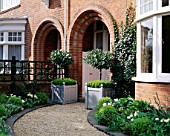 NICHOLS  SHADY FRONT GARDEN WITH CLIPPED BAY TREES IN SILVER WOODEN VERSAILLES TUBS PLANTED WITH DWARF BOX. DARK GREEN TRELLIS  BOX BALLS  FERNS AND TULIP BOULE DE NEIGE