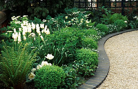NICHOLS__SHADY_WHITE_FRONT_GARDEN_WITH_PLANTING_OF_DICENTRA_SPECTABILIS_ALBA__TULIP_SPRING_GREEN__BO