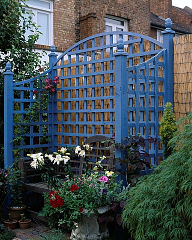 BLUE_TRELLIS_SEAT_WITH_LILIES_BACKED_BY_BAMBOO_FENCE_DESIGNER_ANDREW_ANDERSON