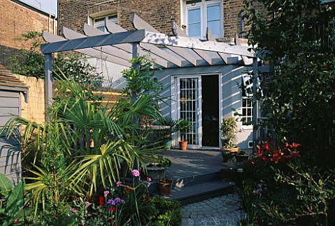 VIEW_TO_KITCHEN_DOOR_WITH_DECKED_TERRACE__PERGOLA__SHED__TRACHYCARPUS_AND_STONE_SETT_PATH__DESIGNER_