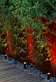 WALL PAINTED WINE RED AND YELLOW STEMMED BAMBOO (PHYLLOSTACHYS AUREA) LIT FROM BENEATH WITH DECKING AND STONE MULCH. DESIN: JOE SWIFT. LIGHTING: GARDEN & SECURITY LIGHTING