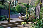 GARDEN WITH DECKING DESIGNED BY JOE SWIFT/ THAMASIN MARSH: MAPLE IN POT  HOSTA IN POT  LOUNGERS  PERGOLA WITH VINE  BAMBOO AND RAISED BORDER WITH BLUE GRASSES