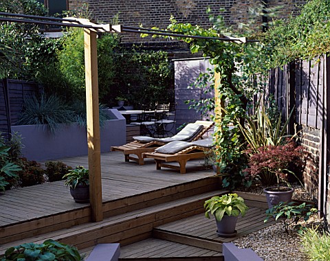 GARDEN_WITH_DECKING_DESIGNED_BY_JOE_SWIFT_MAPLE_IN_POT__HOSTA_IN_POT__LOUNGERS__PERGOLA_WITH_VINE__B