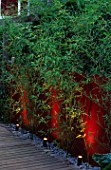 WALL PAINTED WINE RED AND YELLOW STEMMED BAMBOO (PHYLLOSTACHYS AUREA) LIT FROM BENEATH WITH DECKING AND STONE MULCH. LIGHTING BY GARDEN & SECURITY LIGHTING