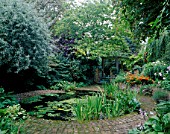 CIRCULAR POND WITH WATER LILIES AND IRIS FOLIAGE SURROUNDED BY BRICK PATH  DESIGNED BY JOE SWIFT.  PYRUS SALICIFOLIA TO LEFT. TABLE AND CHAIRS WITH WOODED PERGOLA BEHIND.