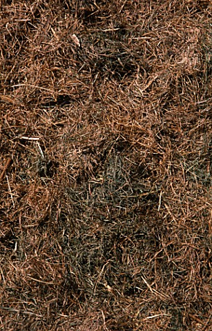 GRASS_CLIPPINGS_COMPOST