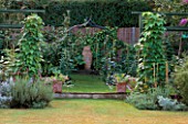 CITY KITCHEN GARDEN WITH URN  METAL ARCH AND ENTRANCE FLANKED BY TWO BERLOTTI LINGUA DI FUOCO BEAN PLANTS ON STICKS