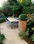 LARGE TERRACOTTA POT PLANTED WITH BOX BALL  BLUE CAFE CHAIRS   ITALIAN LIMESTONE TABLE AND PATIO. LISETTE PLEASANCES GARDEN  LONDON