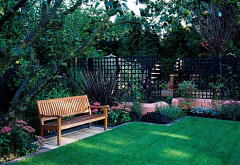 WOODEN_BENCH_WITH_ANGULAR_FORMAL_LAWN__TERRACOTTA_PINK_RENDERED_WALLS__APPLE_TREE__PHORMIUM_TENAX_PU