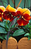 TERRACOTTA BOX PAINTED WITH DECO ART POT O GOLD & COPPER TOPPER AND PLANTED WITH PANSY BEACON BRONZE