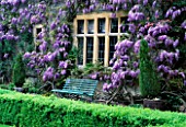 WISTERIA SINENSIS AND LONICERA X AMERICANA ON THE FRONT OF THE HOUSE. EASTLEACH HOUSE  GLOUCS