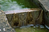 DETAIL OF THE RILL AT EASTLEACH HOUSE  GLOUCESTERSHIRE