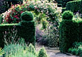 EASTLEACH HOUSE GARDEN  GLOUCESTERSHIRE: ROSE ARCHES SEEN THROUGH YEW HEDGES AND GATES - ROSES ETHEL AND BLEU MAGENTA