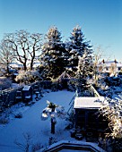 THE NICHOLS GARDEN AT 69  ALBERT ROAD  COVERED WITH SNOW: TRACHYCARPUS FORTUNEI  GAZEBO  BLUE DECORATIVE FENCING  GREENHOUSE AND COVERED SEAT
